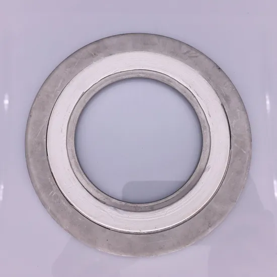 API Standard High-Pressure Metal Spiral Wound Gasket RS1