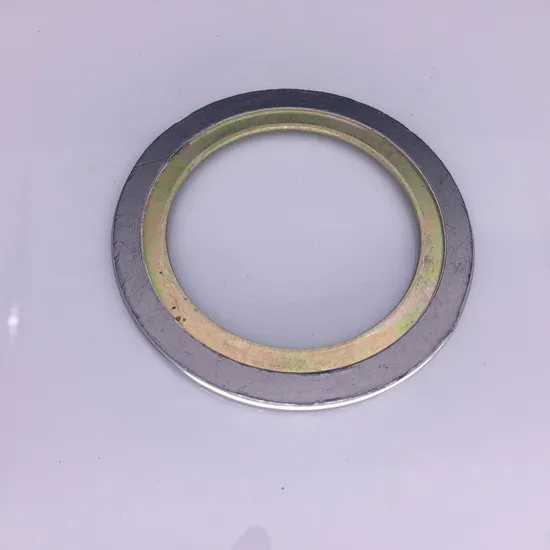 API Standard High-Pressure Metal Spiral Wound Gasket RS1