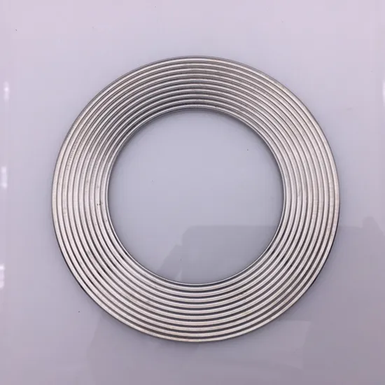 API Standard High-Pressure Metal Spiral Wound Gasket RS1