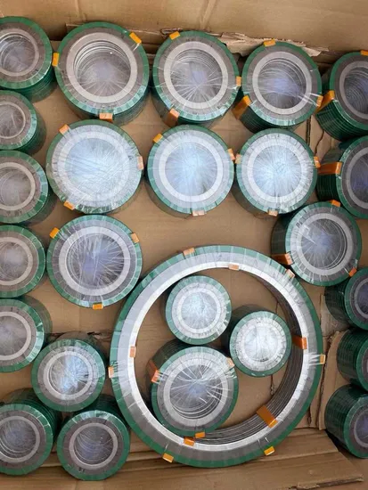 High-Pressure Spiral Wound Gasket for Petroleum Pipelines